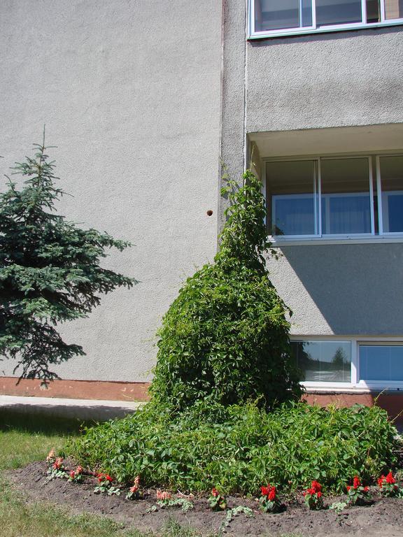 Pas Roma Hotel Sventoji Luaran gambar